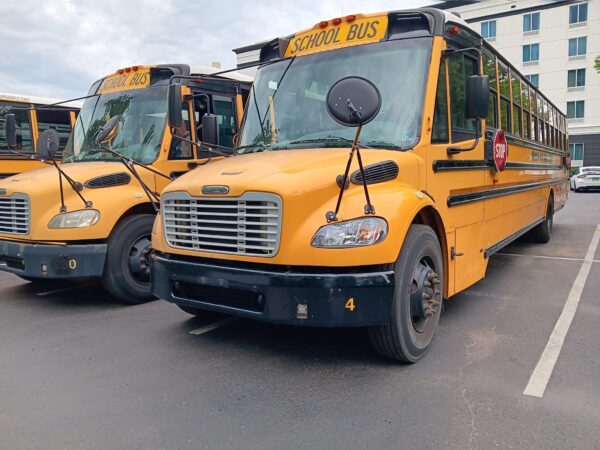 2008 THOMAS Mercedes 44 pas - Imagen 6