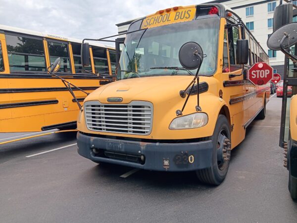 2008 THOMAS Mercedes 44 pas - Imagen 3